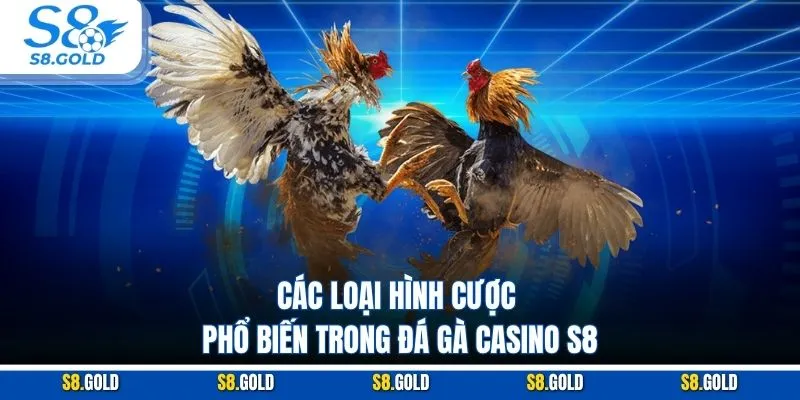 Các loại hình cược phổ biến trong đá gà casino S8 Các loại hình cược phổ biến trong đá gà casino S8