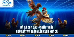 Đá Gà Cựa Dao – Chiến Thuật Hiểu Luật Và Thắng Lớn Cùng Nhà Cái Đá Gà Cựa Dao – Chiến Thuật Hiểu Luật Và Thắng Lớn Cùng Nhà Cái