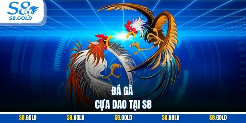 Đá gà cựa dao tại S8 Đá gà cựa dao tại S8