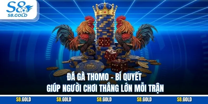 Đá Gà Thomo – Bí Quyết Giúp Người Chơi Thắng Lớn Mỗi Trận Đá Gà Thomo – Bí Quyết Giúp Người Chơi Thắng Lớn Mỗi Trận