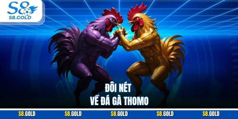 Đôi nét về đá gà Thomo Đôi nét về đá gà Thomo