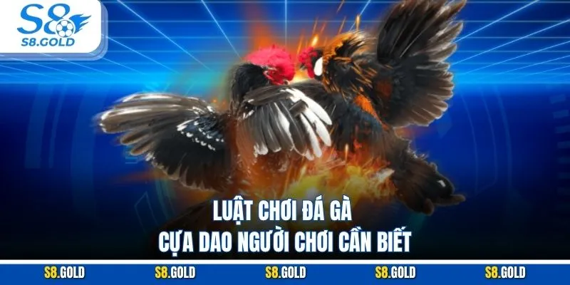 Luật chơi đá gà cựa dao người chơi cần biết Luật chơi đá gà cựa dao người chơi cần biết