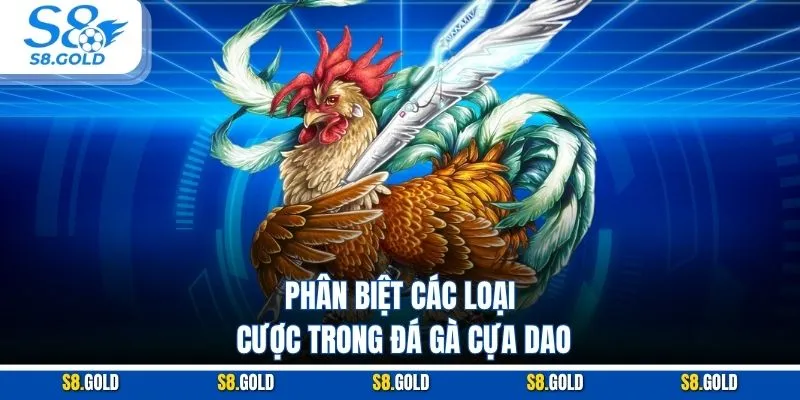 Phân biệt các loại cược trong đá gà cựa dao Phân biệt các loại cược trong đá gà cựa dao