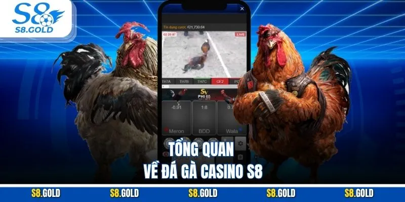 Tổng quan về đá gà casino S8 Tổng quan về đá gà casino S8